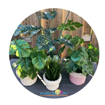 D76773f8 8ccd 4e66 98d1 332194322115