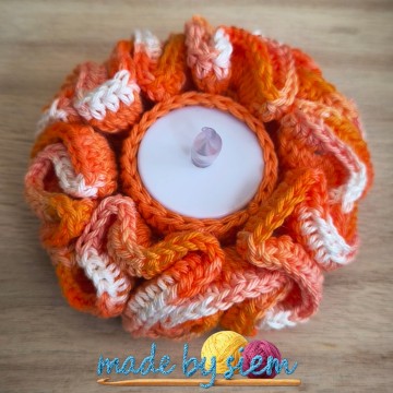 Photocollage2026426143330133