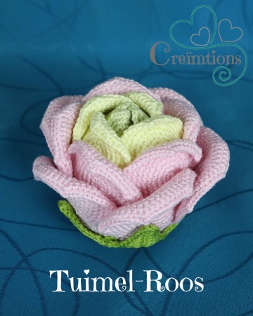 Tuimel roos 1